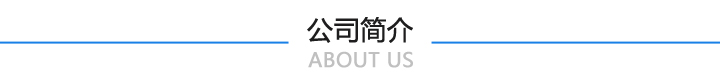 连宇简介 连宇简介